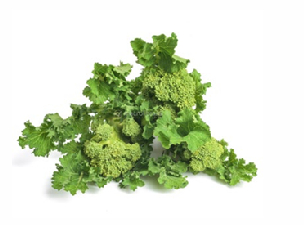CIMA RAPA