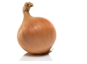 CIPOLLA