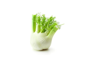 FINOCCHIO
