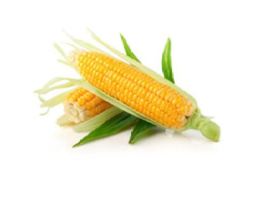 MAIS