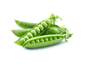 PISELLO