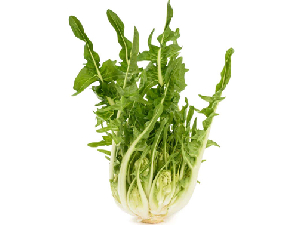 PUNTARELLE