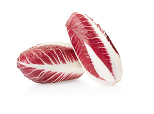 RADICCHIO TREVISO