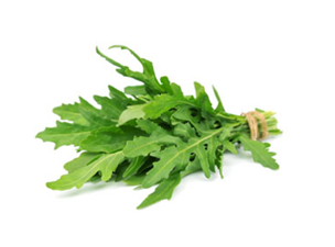 RUCOLA