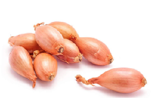 SCALOGNO