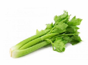 SEDANO