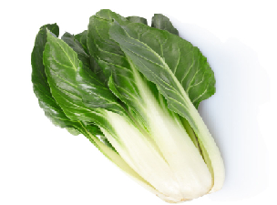 bieta1
