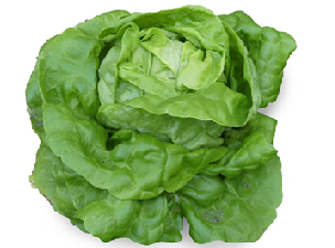 capuccina