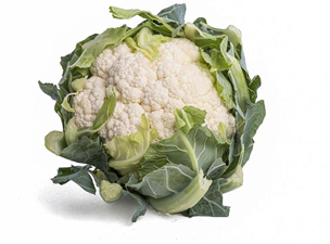 cavolfiore bianco