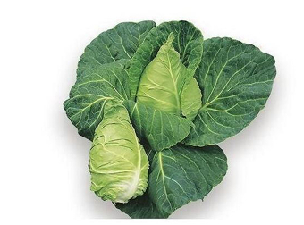 cavolo3