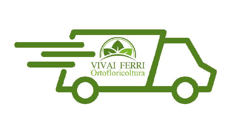 trasporti